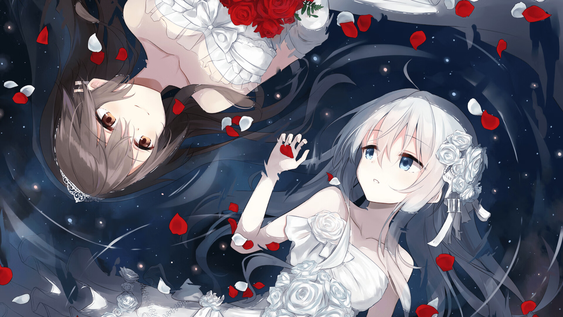 两线闪耀,从CBA的收割之夜到欧冠的王者接管