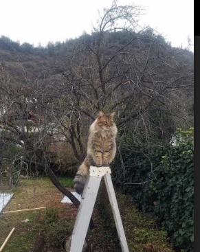 乔治终场三分定江山，硬仗之王率太阳加时险胜广东