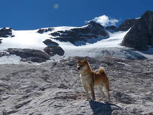 英超争冠之夜，米切尔的无解密码，与工业足球的终极对抗