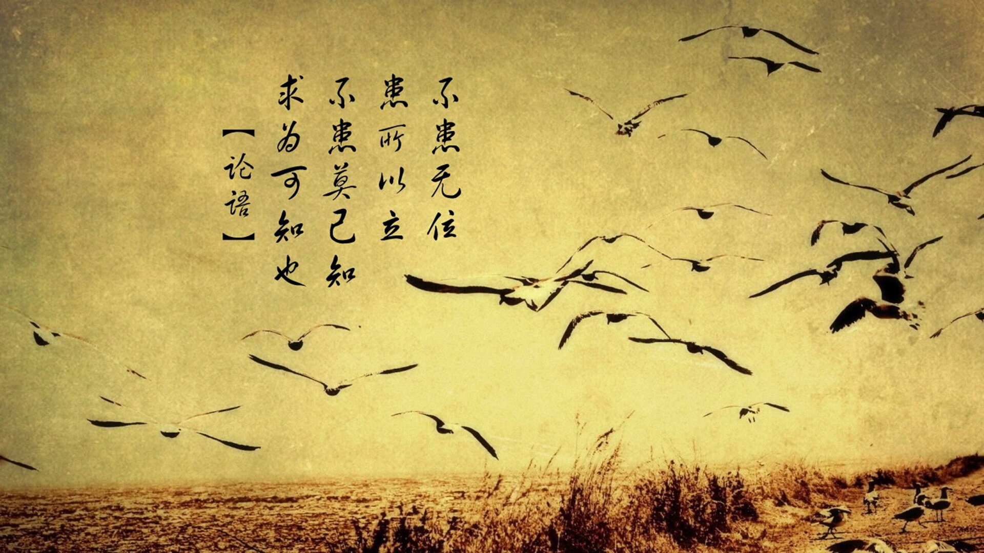 生死战摩洛哥力克拉齐奥,奥亚尔萨瓦尔统治级数据铸就辉煌胜利