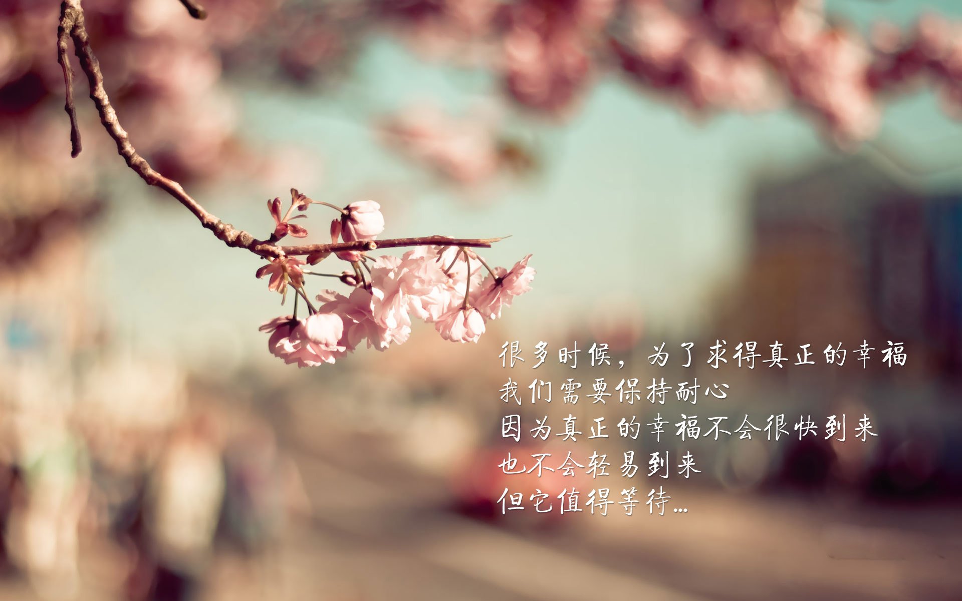 北境飓风！克瓦拉茨赫利亚一箭定江山，莱比锡红牛力克坚韧威尔士