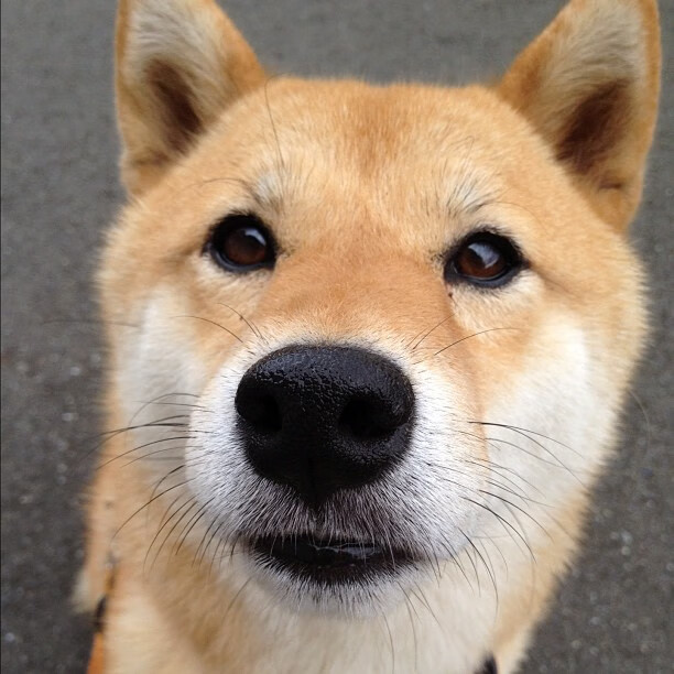 维尼修斯爆发闪耀国家德比，阿尔及利亚速胜乌拉圭震撼国际足坛