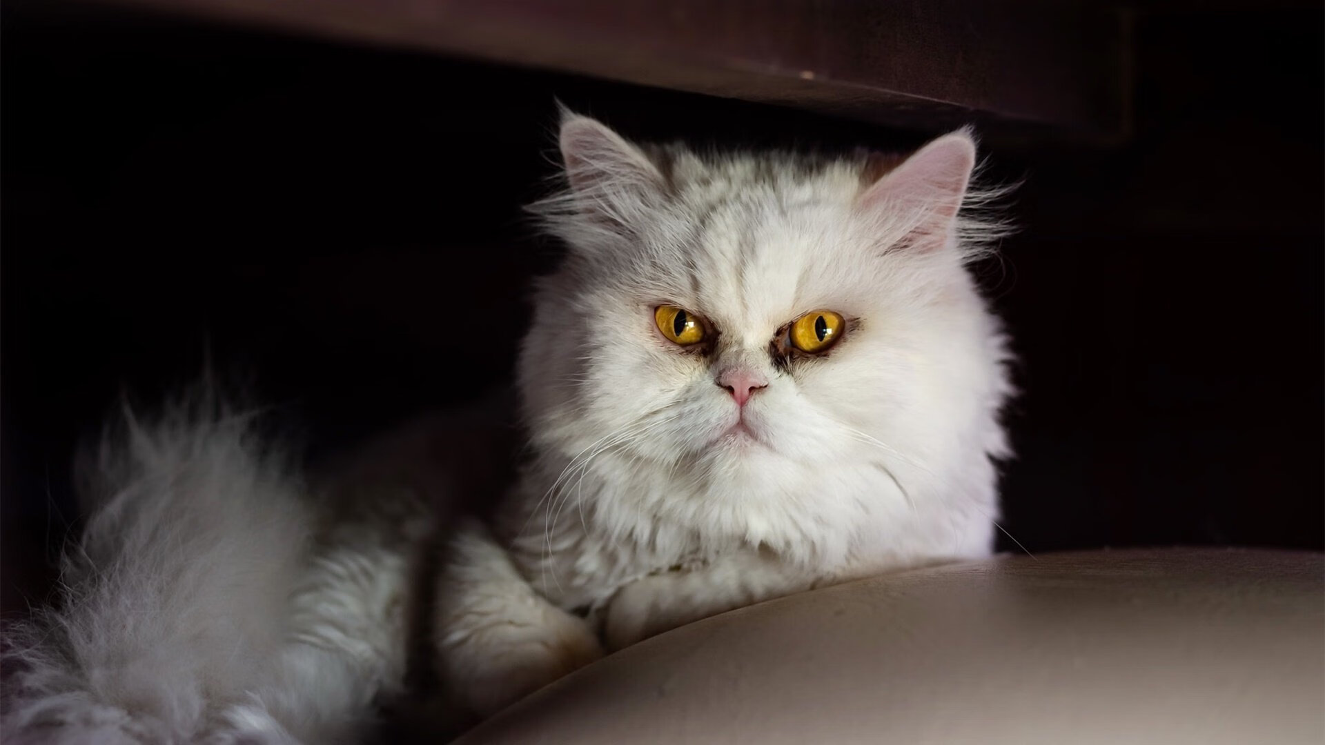 悬念终局与英雄诞生，欧冠之夜的团队铁壁与个体锋芒