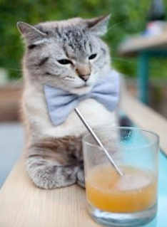 压哨绝杀与星辰舞台，辽宁与塔图姆的共同强者密码