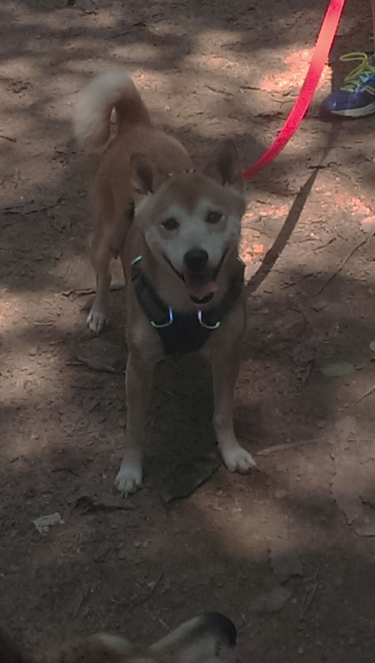 朱·霍勒迪一锤定音，两记三分浇灭雷霆逆转希望