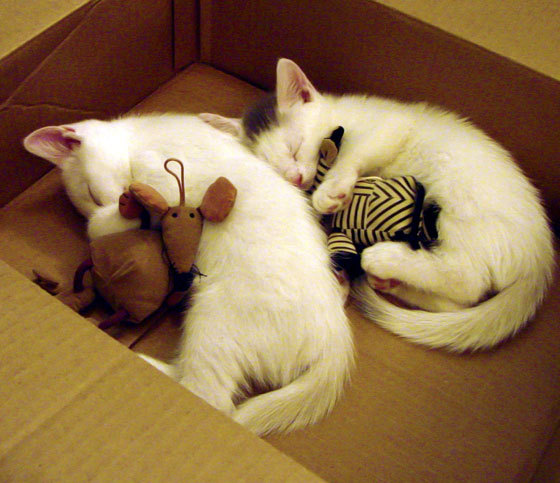 西甲国家德比之夜,金玟哉一夫当关,从风暴中心到全场焦点