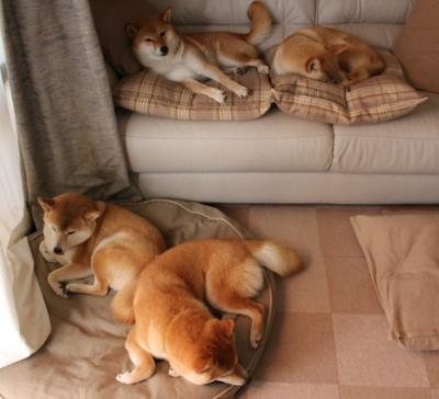 年度焦点之战，乔治高光之夜，一剑封喉定乾坤